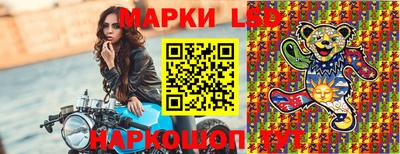 шишки Новокубанск