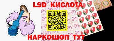 гидра Новодвинск