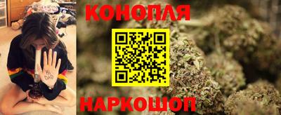 шишки Новокубанск