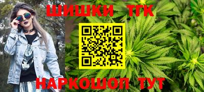 шишки Новокубанск