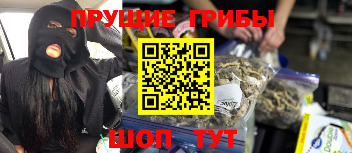 Псилоцибиновые грибы Cubensis Сланцы
