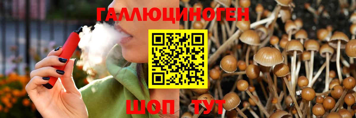 Галлюциногенные грибы мицелий  Галлюциногенные грибы GOLDEN TEACHER  наркота  Вход с VPN  Сланцы 